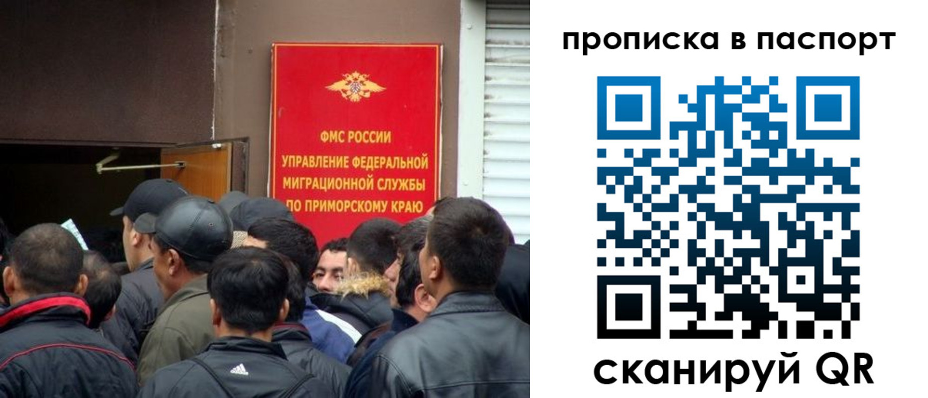 прописка поиск в Чудово