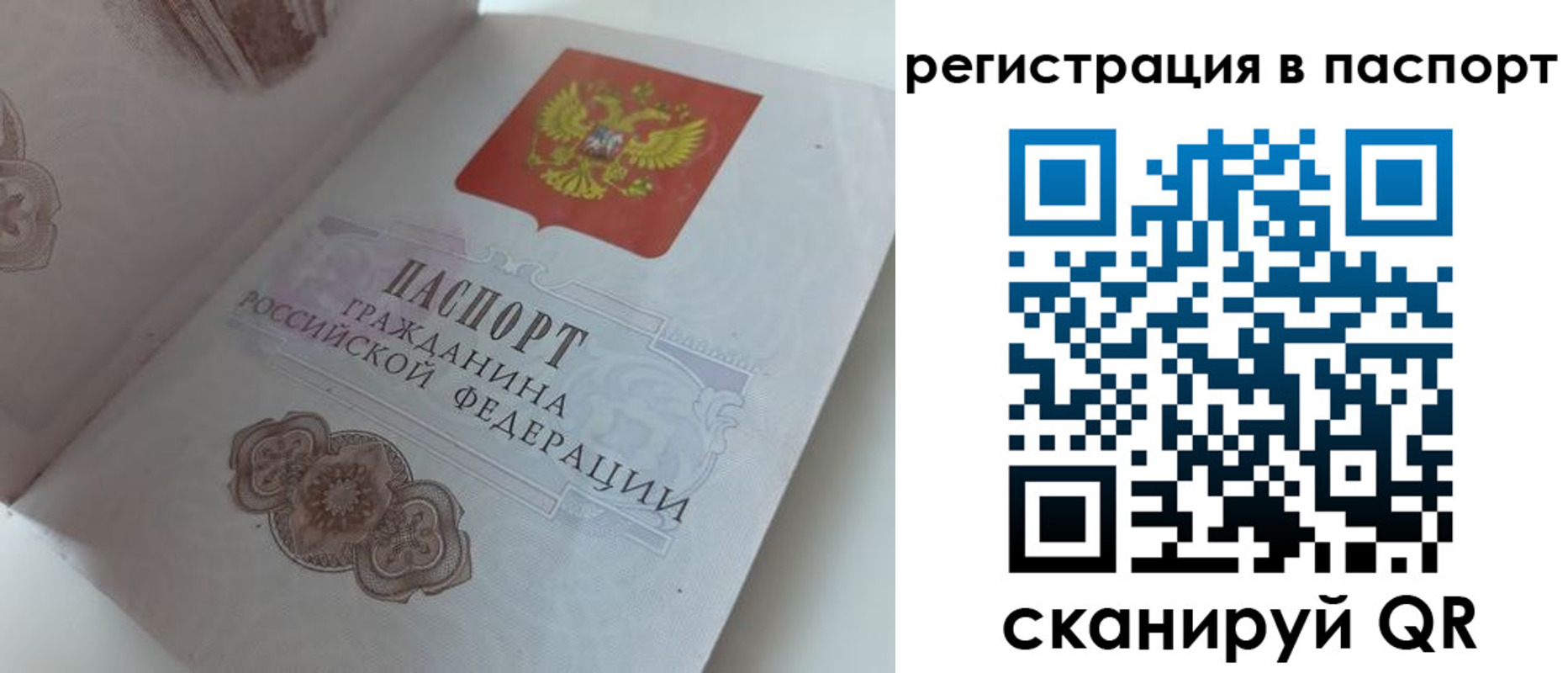 прописка регистрация в Чудово